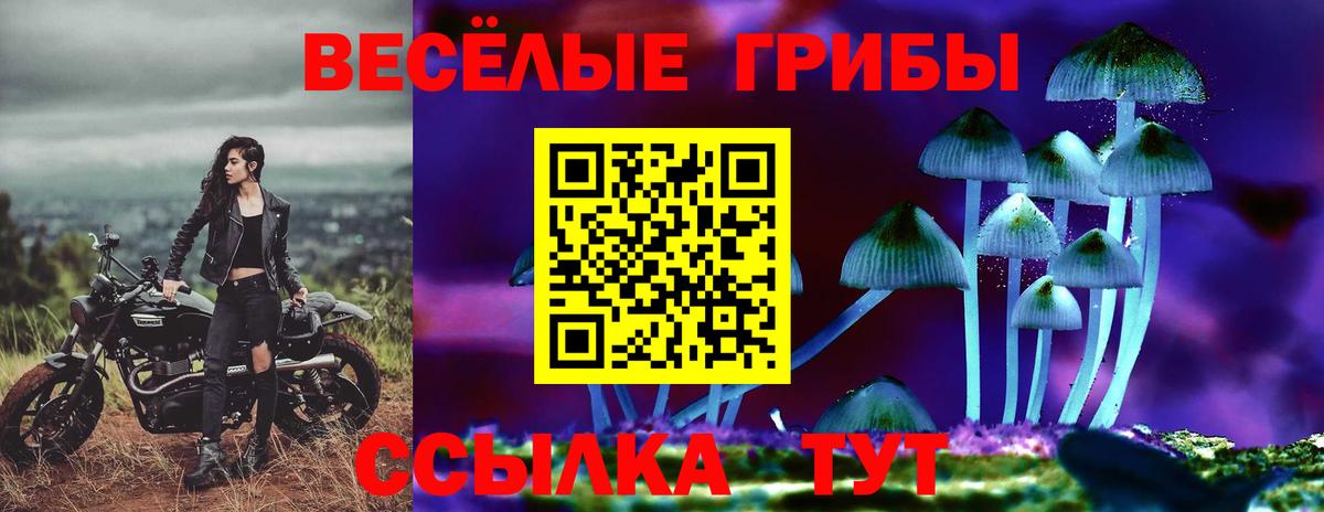 Псилоцибиновые грибы Psilocybe  Вход с VPN  Кирово-Чепецк 